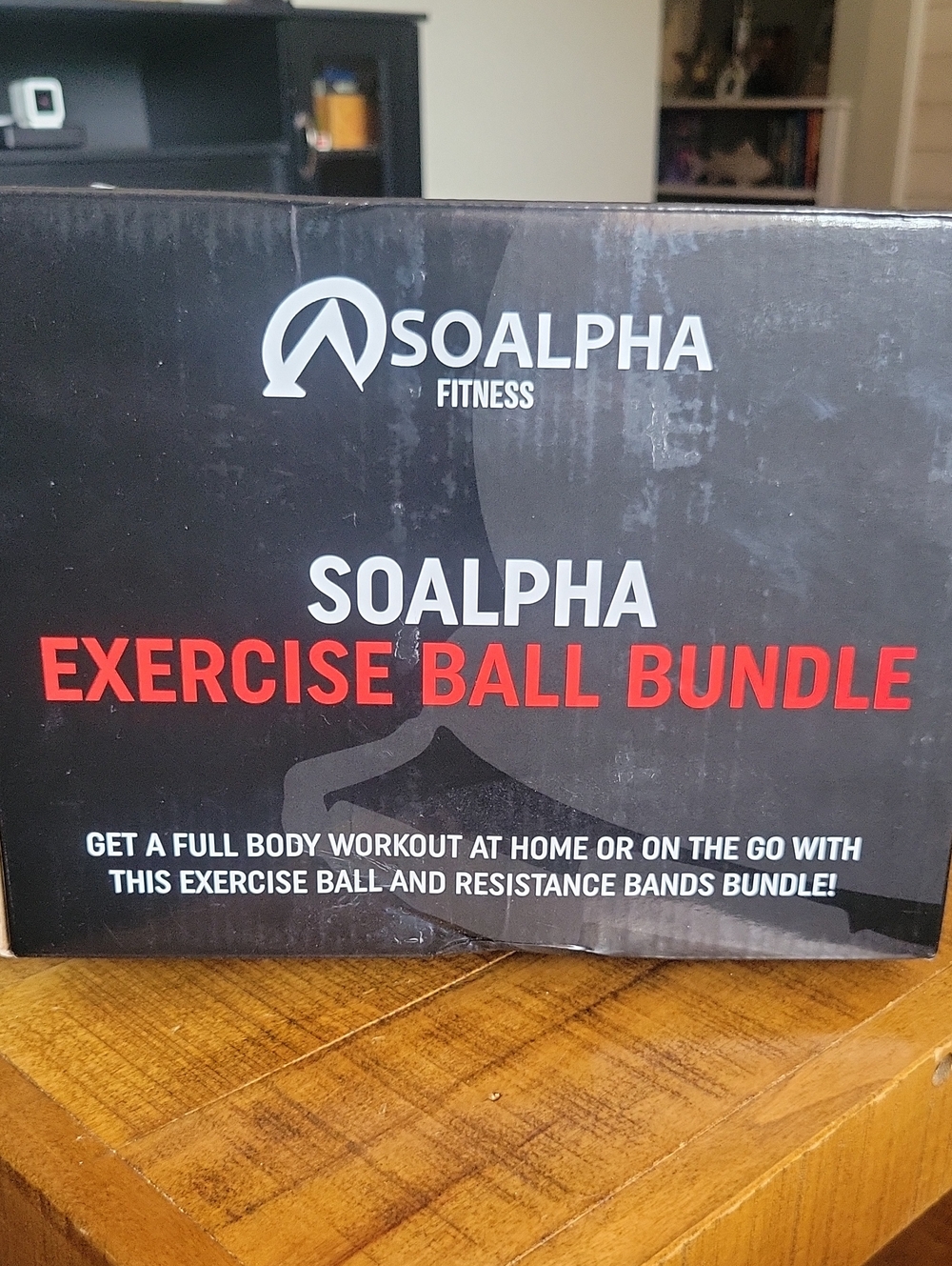 Exercise Ball Bundle